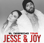 JESSE Y JOY