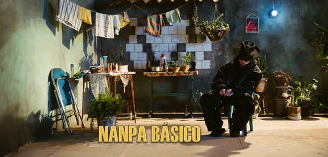 NANPA BASICO