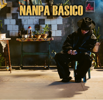 NANPA BASICO